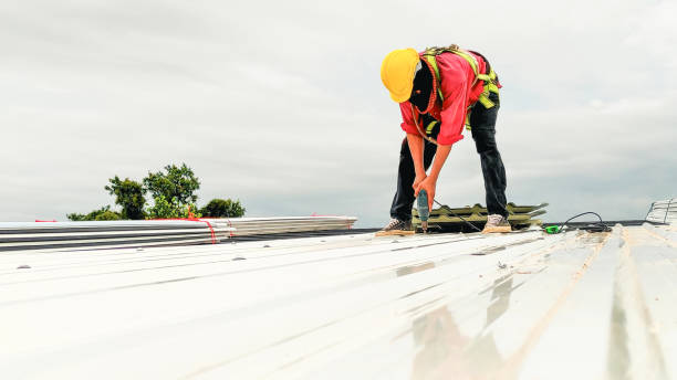 Best Roof Insulation Installation  in Bellflower, CA